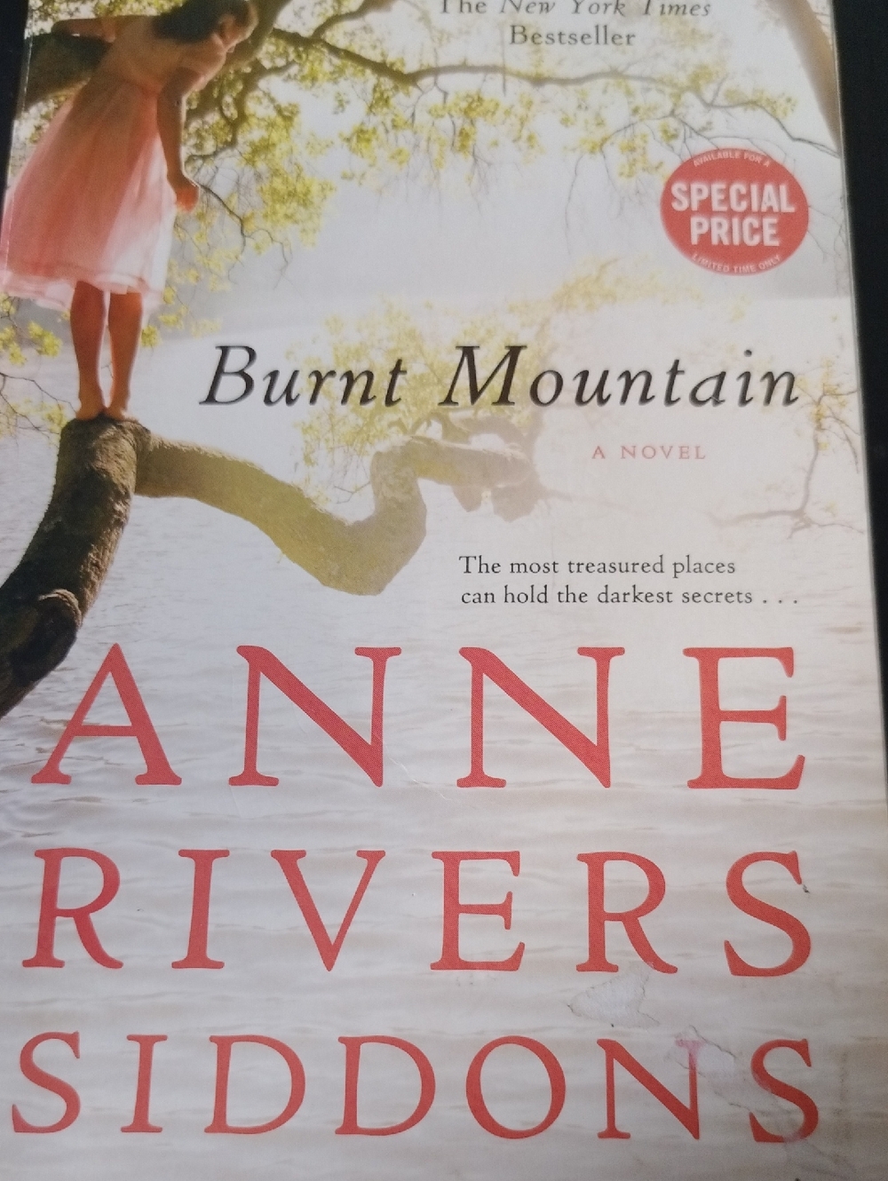 'Burnt Mountain' By Anne Rivers Siddons Novel - Cream Cover